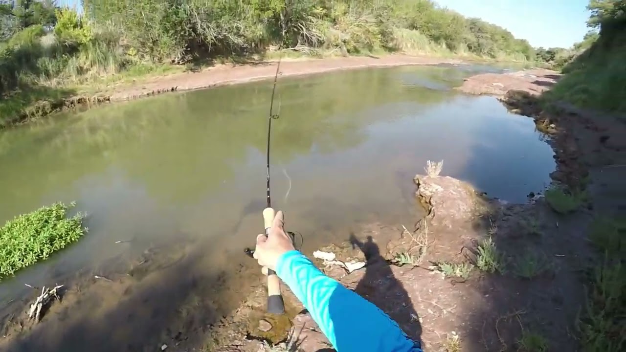 Pesca ultra liviana de dorados UL