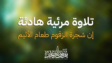 تلاوة مرئية هادئة | بصوت : يوسف محمد الصقير | (( إن شجرة الزقوم طعام الأثيم )) | بجودة عالية