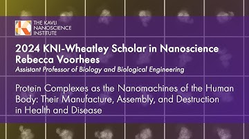 Protein Complexes as the Nanomachines of the Human Body - Dr. Rebecca Voorhess