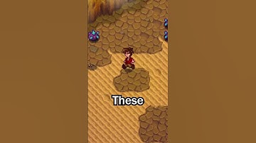 NEW Stardew Valley 1.6.4 Glitch!