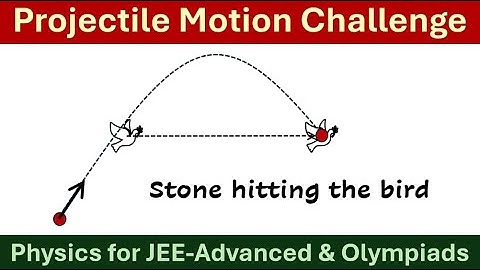 Projectile Motion Challenge || Stone hitting the bird