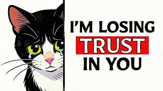 6 Mistakes That Make Your Cat Lose Trust In You