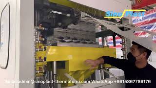 SPE-760B coffee cup making machine  plastic thermoform machine