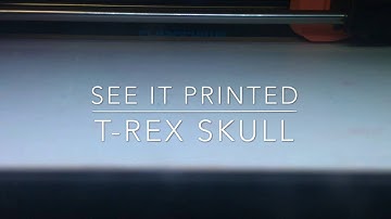 3D time lapse makerbot t-rex skull