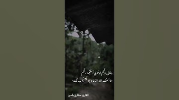 #تلاوه من #القارئ #مشاري_ياسين #قرآن