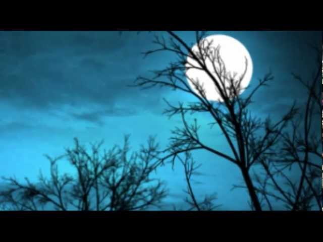 Paul Mauriat - Fly Me To The Moon