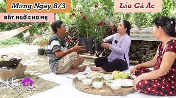 BA TRỔ TÀI VÀO BẾP ĂN MỪNG NGÀY 8/3 TẶNG MẸ NGUYÊN CHẬU BÔNG HỒNG | KBMT