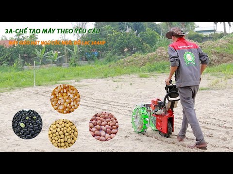 Video: Cách bón phân tốt nhất cho dưa chuột là gì