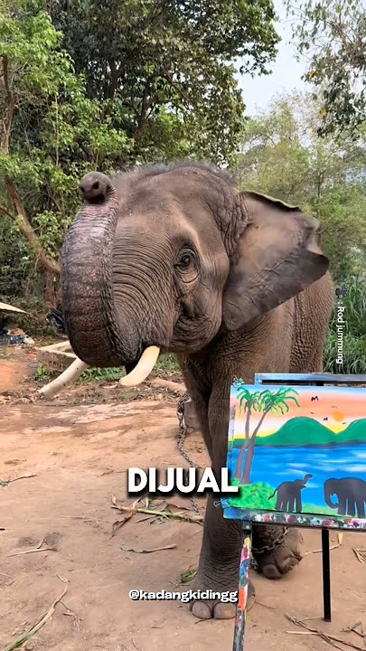 AN ELEPHANT BECOME A PAINTER?! #shortvideo #shorts #uniquefacts
