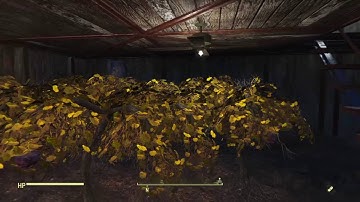 Fallout 4 Synth Detection Syndicate settlement