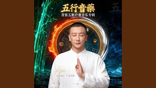Download Lagu 水-羽音-强肾：归源