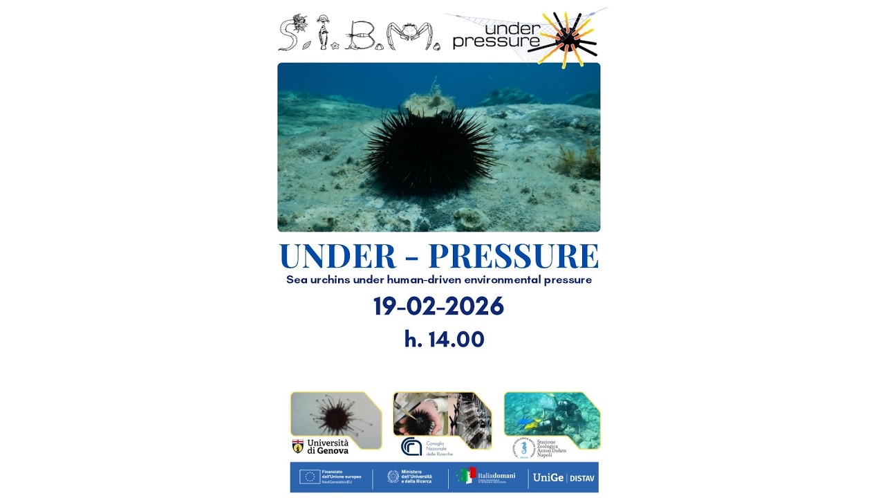 Progetto Under-Pressure - Sea urchins Under human-driven environmental Pressure