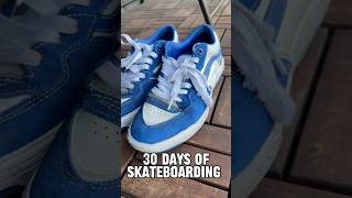 30 Days Of Skateboarding Shoe Review With Tyson Shewchuk