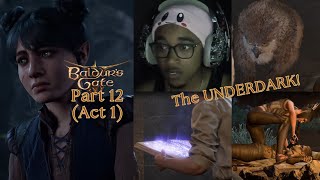 Baldurs Gate 3 Part 12 || (Act 1)