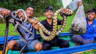 Ký Sự Rừng Già - Tập 16