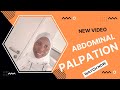 Midwifery practice abdominal palpation