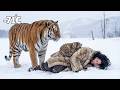 A 93 Year Old Woman Rescues An Unconscious Woman With A Mother Tiger In Siberia A Touching Story
