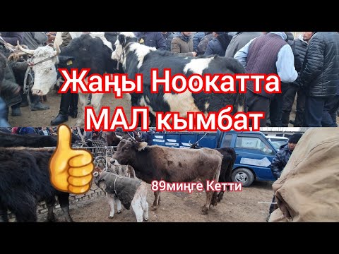 Video: Картинанын жаратылышынан 300 гана кийин үйрөнүлгөн сырдуу тарыхы: 