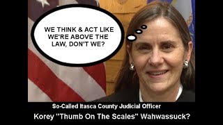 Lion News: Itasca Co. Attorney Muhar & Capt. Silcox Illegally Withholding Herme’s Squad Video?