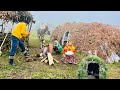 Mountain Living: Daily Nomadic Adventure - Butter Making &amp; Puppy Shelter Building!
