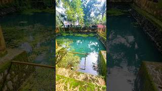 Kamala Surayya         kamalasurayya madhavikutty