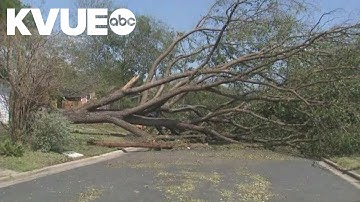 Severe storms take down trees, power lines in East Austin
