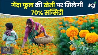 Sarkari Yojana: गेंदा फूल की खेती पर मिलेगी 70% सब्सिडी, लाभ उठाने के लिए यहां करें रजिस्ट्रेशन | by Krishi Jagran 253 views 12 days ago 4 minutes, 51 seconds
