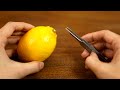 レモンを限界まで綺麗にした結果【レモンチャレンジ】