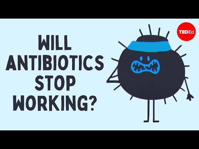 How Can We Solve The Antibiotic Resistance Crisis