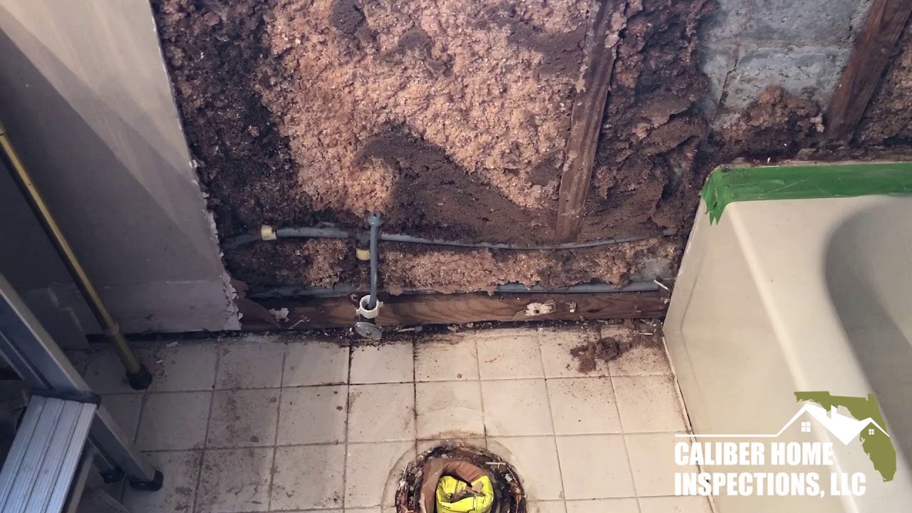Mold clearance inspection