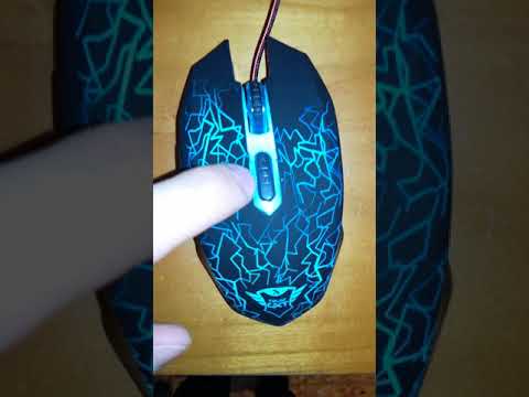 Video: Perché Il Mouse Lampeggia?