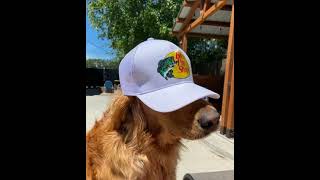 The Nbhd - A Little Death Slightly Slowed & Reverbed