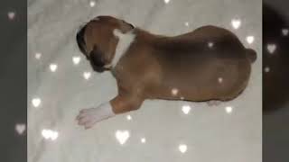 Vid 20180919 Wa0008