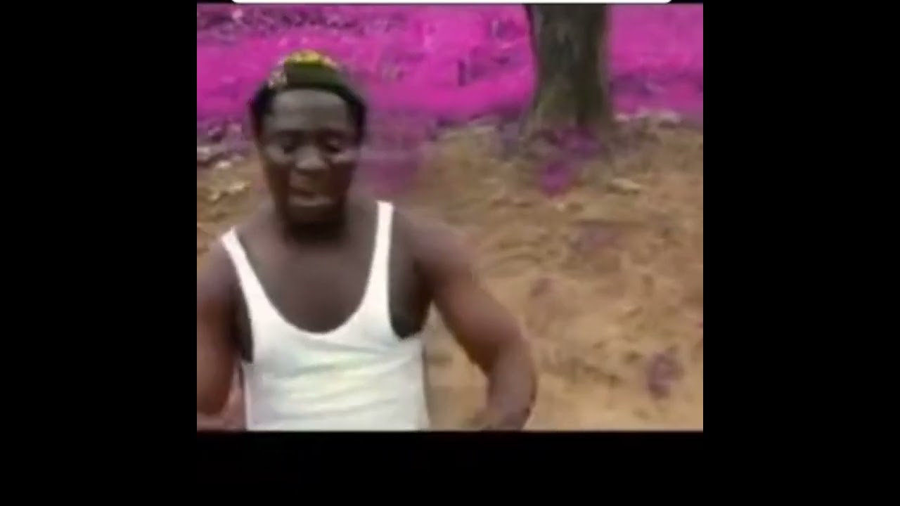 SARA D GREAT AND FODAY BALLION