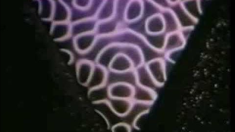 David August - Epikur - Epikur EP (Official Video)