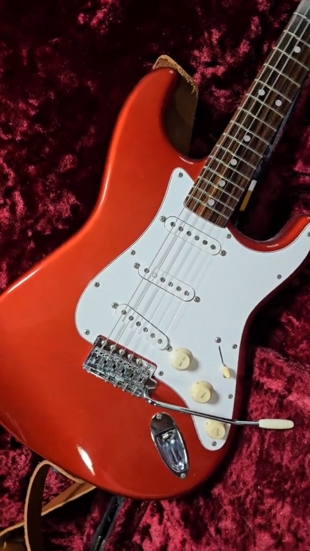kissy's Guitar Collections】1981年 Tokai Silver Star SS-40MRR 1981