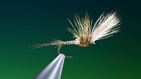 Fly Tying a Mayfly stillborn with Barry Ord Clarke