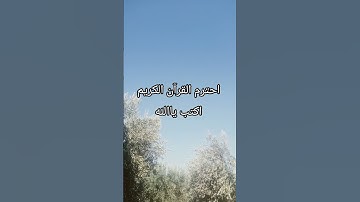 احترم القرآن الكريم #اكسبلور #قرآن #المصحف #لايك #الرحمن