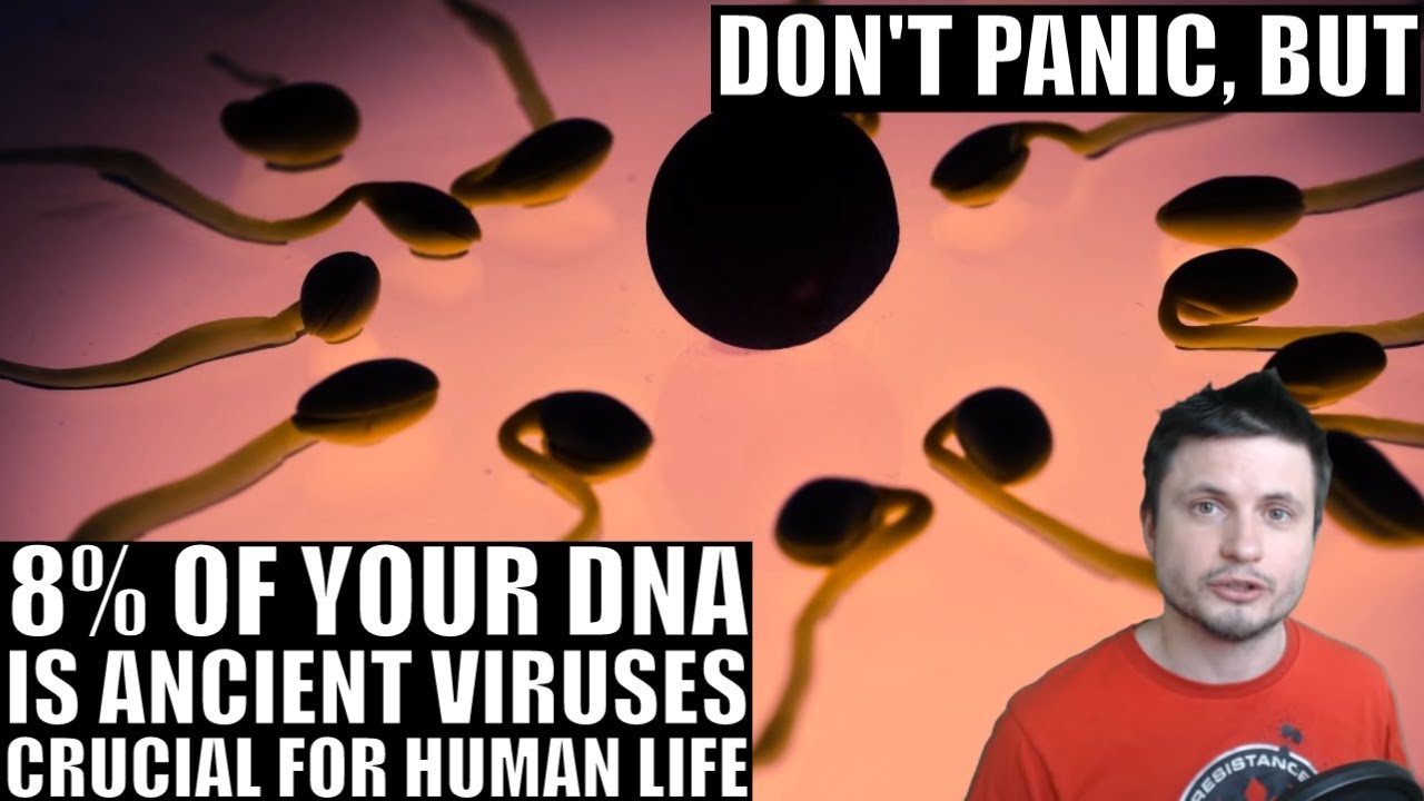 Don't Panic, 8% of Your DNA Is Ancient Viruses, Many Crucial for Life