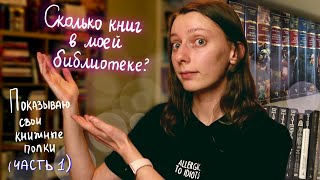 МОИ КНИЖНЫЕ ПОЛКИ, которые никто никогда не видел | Как я составила каталог моей библиотеки