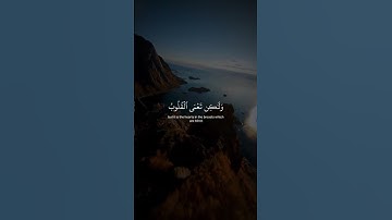 تلاوة خاشعة بصوت الشيخ ياسر الدوسري ارح قلبك .