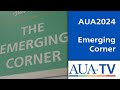 Aua 2024 emerging corner