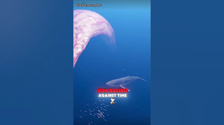 Whale got attacked by strange creature #whale #deepsea