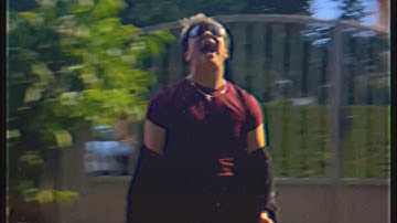 BullZ x Flexify - SHOWSTOPPERI (Official Visualizer)