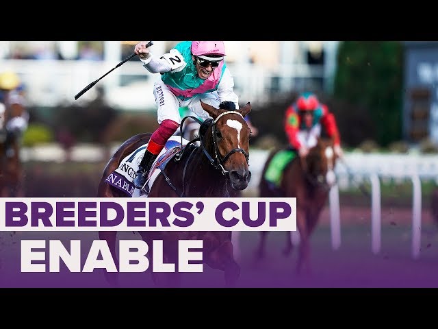 ENABLE wins Longines Turf | Breeders' Cup 2018 - YouTube