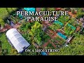 Inspirational smallscale permaculture homestead  low cost selfsufficiency on less than an acre