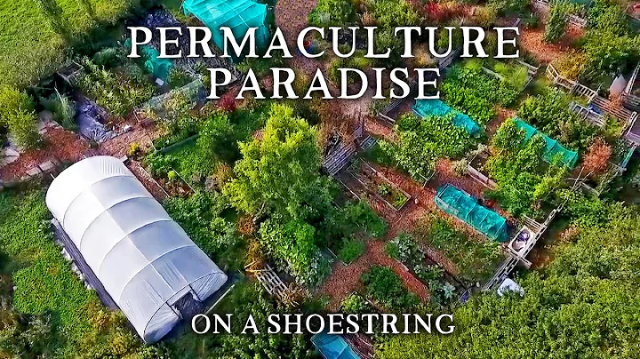 Inspirational Small-Scale Permaculture Homestead |...