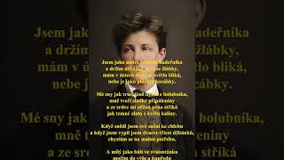 Arthur Rimbaud - Večerní modlitba