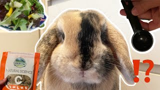 What My Bunny Eats In A Day! 🐰