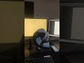 kedinin  fare avı.